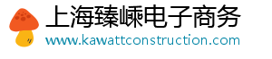 上海臻嵊电子商务